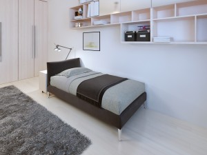 Teenagers bedroom modern style